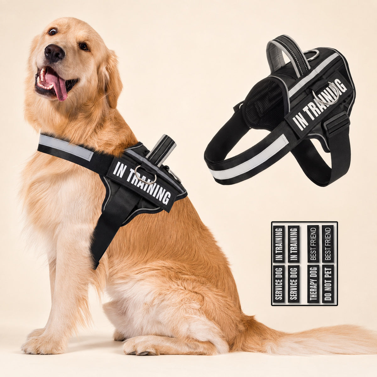 Chaleco para mascota