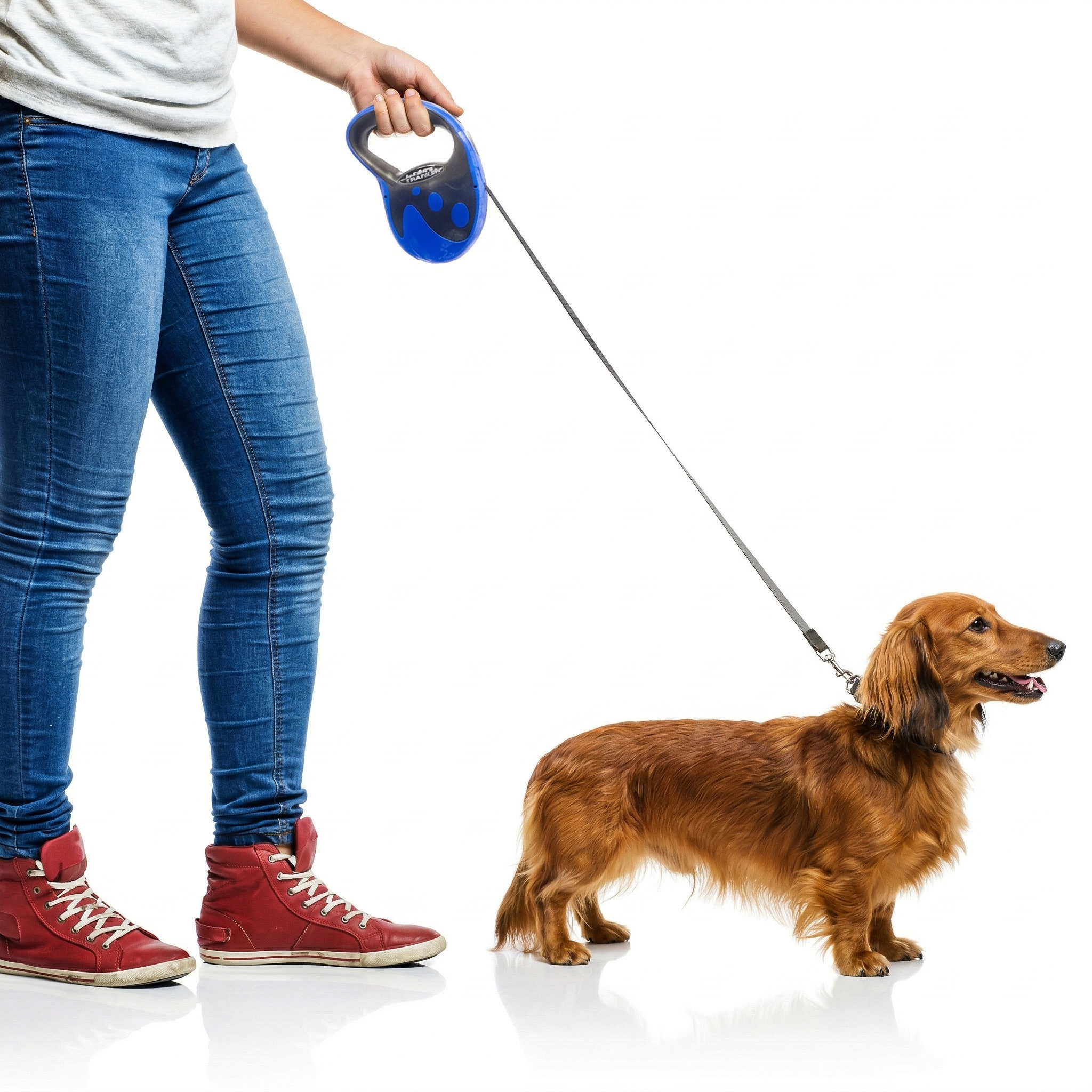 CORREA RETRÁCTIL PARA MASCOTAS