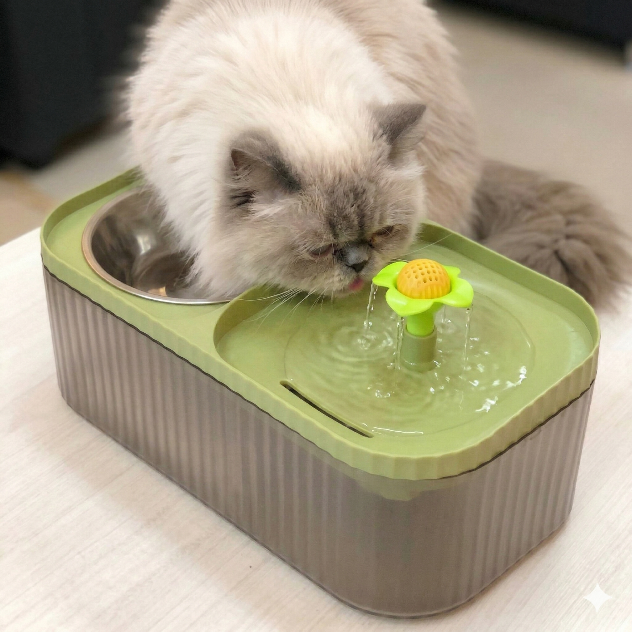 Comedero doble con fuente de agua