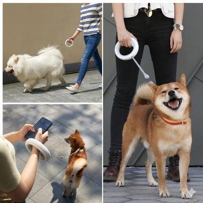 CORREA RETRÁCTIL PARA MASCOTAS